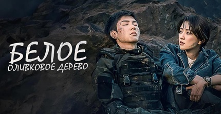 Белое оливковое дерево 2 сезон